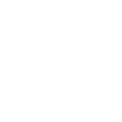 P-Noir Music Logo